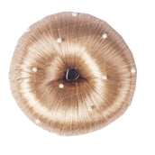 HORKA Filet Cheveux Pearl Blond HORKA Filet Cheveux Pearl Blond