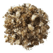 HorseFlex Pissenlit Recharge HorseFlex Pissenlit Recharge