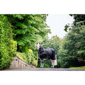 Amigo Chemise Turnout 1200D Plus 50g Noir/Gris Titane/Argent Amigo Chemise Turnout 1200D Plus 50g Noir/Gris Titane/Argent