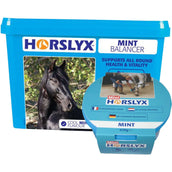 Horslyx Pierre à Lécher Mint Horslyx Pierre à Lécher Mint