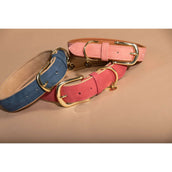 Kentucky Collier pour Chien Soft Vegan Leather Marin/Beige Kentucky Collier pour Chien Soft Vegan Leather Marin/Beige