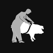 Kerbl Mètre ruban Animeter Kerbl Mètre ruban Animeter