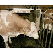 Kerbl Brosse pour Bétail Texas Kerbl Brosse pour Bétail Texas