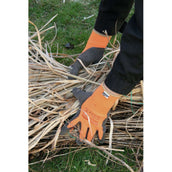 Keron Gant PowerGrab Thermo Hiver Keron Gant PowerGrab Thermo Hiver