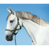 Covalliero Corde pour Licol Hippo Mousqueton Anthracite/Citron Covalliero Corde pour Licol Hippo Mousqueton Anthracite/Citron