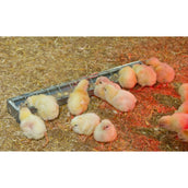 Kerbl Mangeoire Poules Métal Kerbl Mangeoire Poules Métal