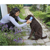 Magic Brush Brosse Chien Blue Sky Magic Brush Brosse Chien Blue Sky