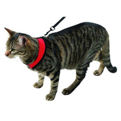 Kerbl Harnais pour Chat Active avec Ligne 120cm Rouge Kerbl Harnais pour Chat Active avec Ligne 120cm Rouge