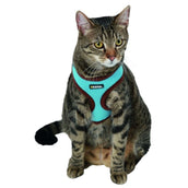 Kerbl Harnais pour Chat Active avec Ligne 120cm Bleu Kerbl Harnais pour Chat Active avec Ligne 120cm Bleu