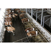 Kerbl InternetCamera IPCam 360 FHD 1080p Noir Kerbl InternetCamera IPCam 360 FHD 1080p Noir