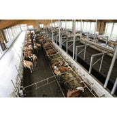 Kerbl InternetCamera IPCam 360 FHD 1080p Noir Kerbl InternetCamera IPCam 360 FHD 1080p Noir