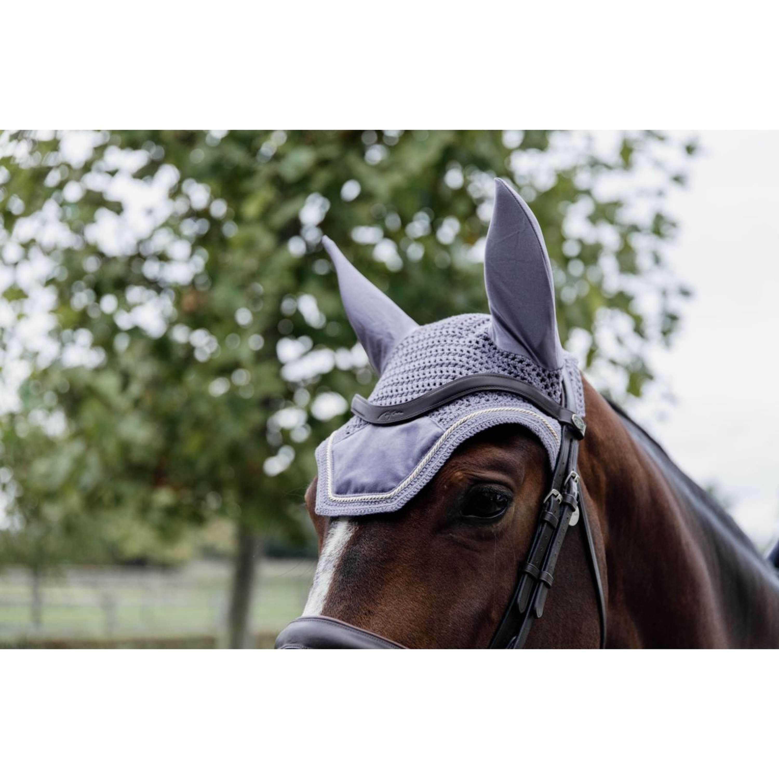 Accessoire Cheval élégant KENTUCKY HORSEWEAR Bonnet Anti-Mouche Cheval Wellington Velvet | Protection Oreilles - Plusieurs Coloris Bonnet Velours Cheval Accessoire Cheval élégant KENTUCKY HORSEWEAR Bonnet Anti-Mouche Cheval Wellington Velvet | Protection Oreilles - Plusieurs Coloris Bonnet Velours Cheval