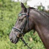 Kieffer Bridon Comfort Paris Anglais Muserolle avec Noseband, Noir Technique, Vernis, 35mm Noir/Blanc Kieffer Bridon Comfort Paris Anglais Muserolle avec Noseband, Noir Technique, Vernis, 35mm Noir/Blanc