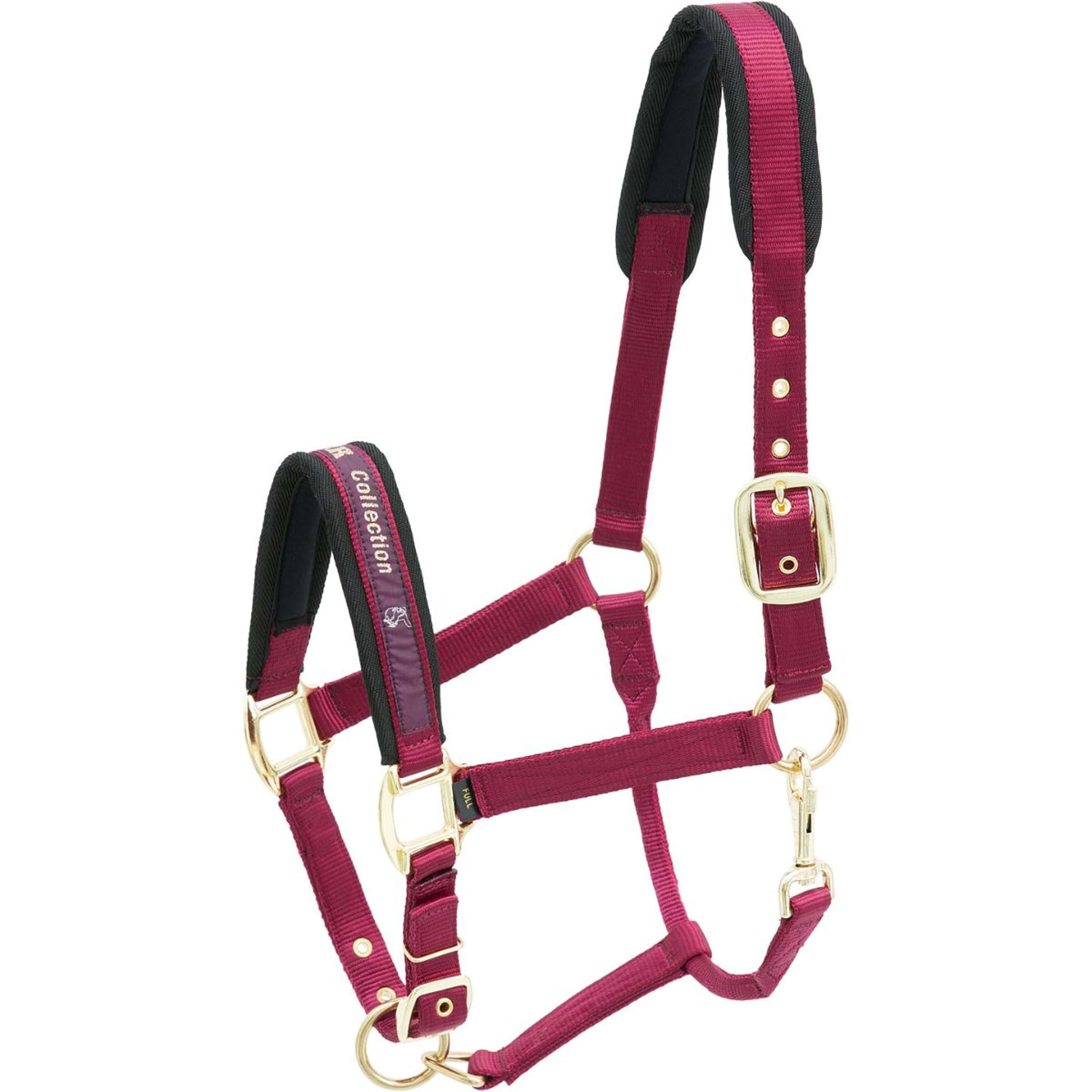 Kieffer Cravache de Dressage Cuirgrip, Nylon Noir Kieffer Cravache de Dressage Cuirgrip, Nylon Noir
