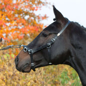 Kieffer Caveçon Perfect Noir Kieffer Caveçon Perfect Noir