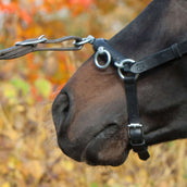 Kieffer Caveçon Perfect Noir Kieffer Caveçon Perfect Noir