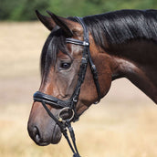 Kavalkade Bridon Ivy IR Noir Kavalkade Bridon Ivy IR Noir