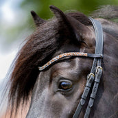 Kavalkade Frontal Courbé Bouton Candy Kavalkade Frontal Courbé Bouton Candy