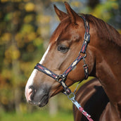 Kavalkade Licol Classic Raute Bleu/Creme/Bordeaux Kavalkade Licol Classic Raute Bleu/Creme/Bordeaux