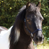 Kavalkade Licol Shorty Marin Kavalkade Licol Shorty Marin