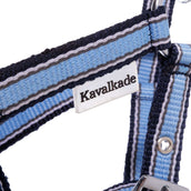 Kavalkade Licol Foal/Yearling Bleu clair/bleu marine/blanc Kavalkade Licol Foal/Yearling Bleu clair/bleu marine/blanc