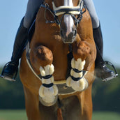 Kavalkade Protèges-Tendons Compete 'n Wool Noir Kavalkade Protèges-Tendons Compete 'n Wool Noir