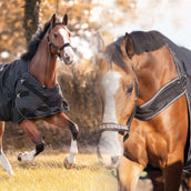 Kavalkade Turnout / Couverture de Marcheur Halifax 2in1 50g Noir Kavalkade Turnout / Couverture de Marcheur Halifax 2in1 50g Noir