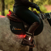 Kavalkade Plastron/Selle/Jambe Horselight Noir/Gris Kavalkade Plastron/Selle/Jambe Horselight Noir/Gris