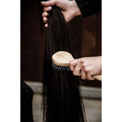 Kentucky Brosse à crin Kentucky Brosse à crin