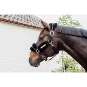 Kentucky Licol Nylon Laine Doux Noir Kentucky Licol Nylon Laine Doux Noir