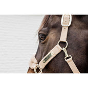 Kentucky Licol Teddy Fleece Beige Kentucky Licol Teddy Fleece Beige