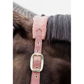 Kentucky Licol Polaire Teddy Rose Vieux Kentucky Licol Polaire Teddy Rose Vieux