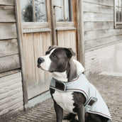 Kentucky Veste pour Chien Waterproof 160g Dusty Blue Kentucky Veste pour Chien Waterproof 160g Dusty Blue