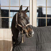 Kentucky Licol Plaited Nylon Beige Kentucky Licol Plaited Nylon Beige