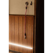 Kentucky Chaîne d'Attache Silicone Rose Kentucky Chaîne d'Attache Silicone Rose