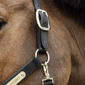 Kentucky Licol Anatomic Nylon Noir Kentucky Licol Anatomic Nylon Noir