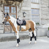 Kentucky Bonnet Anti-Mouches Wellington velours Pearls Noir Kentucky Bonnet Anti-Mouches Wellington velours Pearls Noir