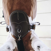 Kentucky Sangle d'Obstacle Short Stud Marron Kentucky Sangle d'Obstacle Short Stud Marron