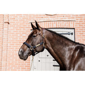 Kentucky Licol Anatomic Nylon Marin Kentucky Licol Anatomic Nylon Marin