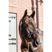 Kentucky Licol Anatomic Nylon Marin Kentucky Licol Anatomic Nylon Marin