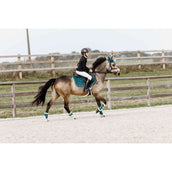 Kentucky Horsewear Protèges-Tendons Bamboo Elastic Vegan Sheepskin Émeraude Kentucky Horsewear Protèges-Tendons Bamboo Elastic Vegan Sheepskin Émeraude