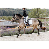 Kentucky Horsewear Protèges-Tendons Bamboo Elastic Vegan Sheepskin Noir Kentucky Horsewear Protèges-Tendons Bamboo Elastic Vegan Sheepskin Noir