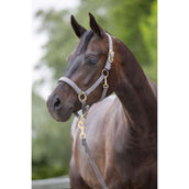 Covalliero Licol Classy Pierre Covalliero Licol Classy Pierre
