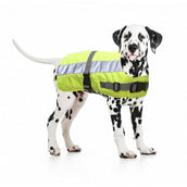 Duvo+ Flectalon Hi Vis Veste pour chien Jaune Duvo+ Flectalon Hi Vis Veste pour chien Jaune