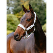 LeMieux Licol Versailles Violet LeMieux Licol Versailles Violet