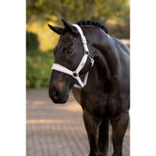 LeMieux Licol Versailles Violet LeMieux Licol Versailles Violet