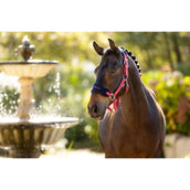 LeMieux Ensemble Licol Vogue Airelle LeMieux Ensemble Licol Vogue Airelle