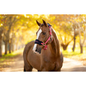 LeMieux Ensemble Licol Vogue Airelle LeMieux Ensemble Licol Vogue Airelle