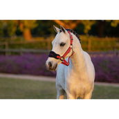 LeMieux Ensemble Licol Mini Vogue Airelle LeMieux Ensemble Licol Mini Vogue Airelle