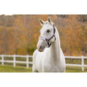 LeMieux Ensemble Licol Vogue Juniper LeMieux Ensemble Licol Vogue Juniper